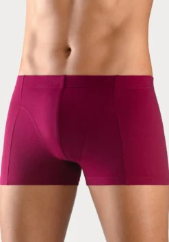 Boxer