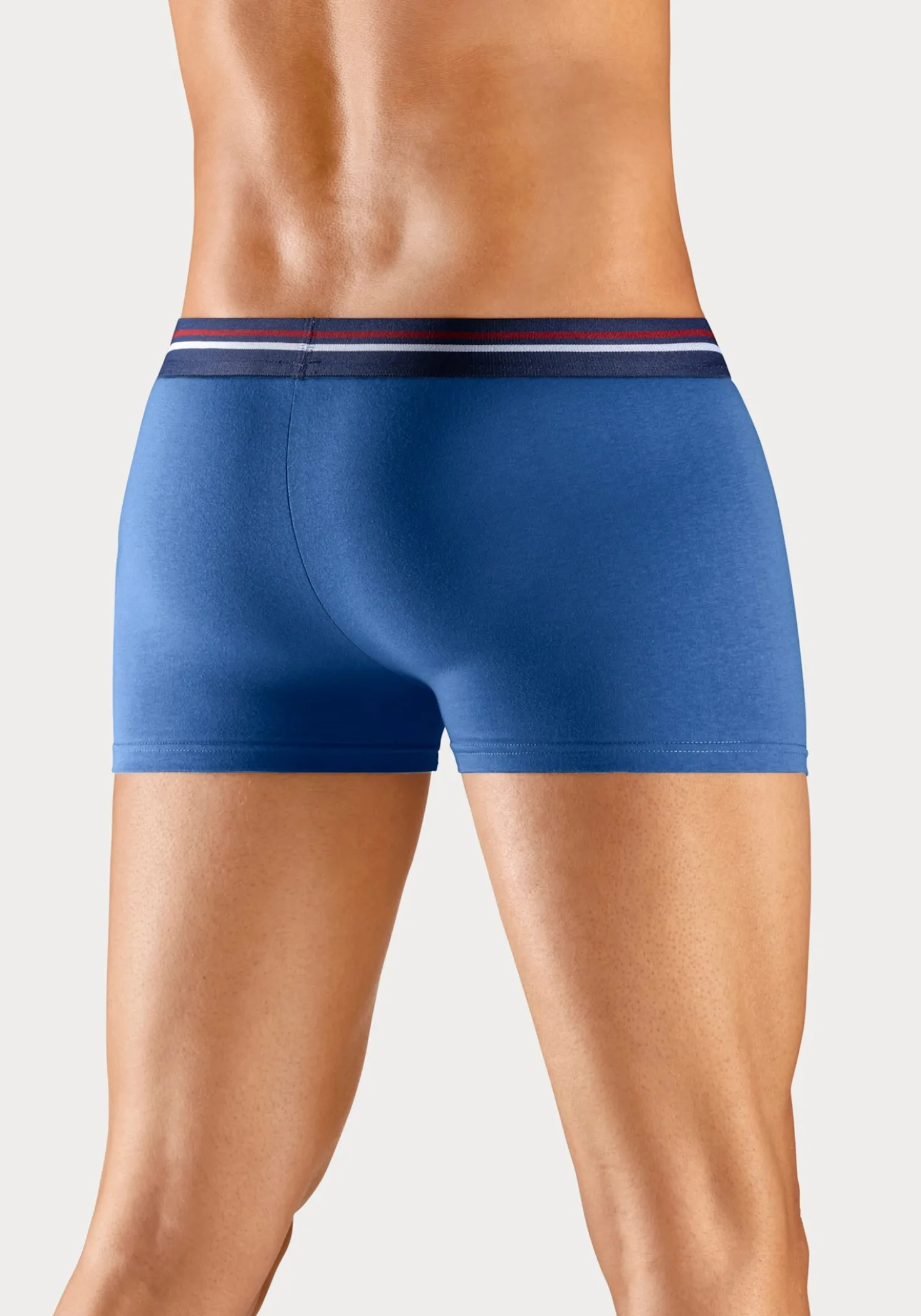 Boxer