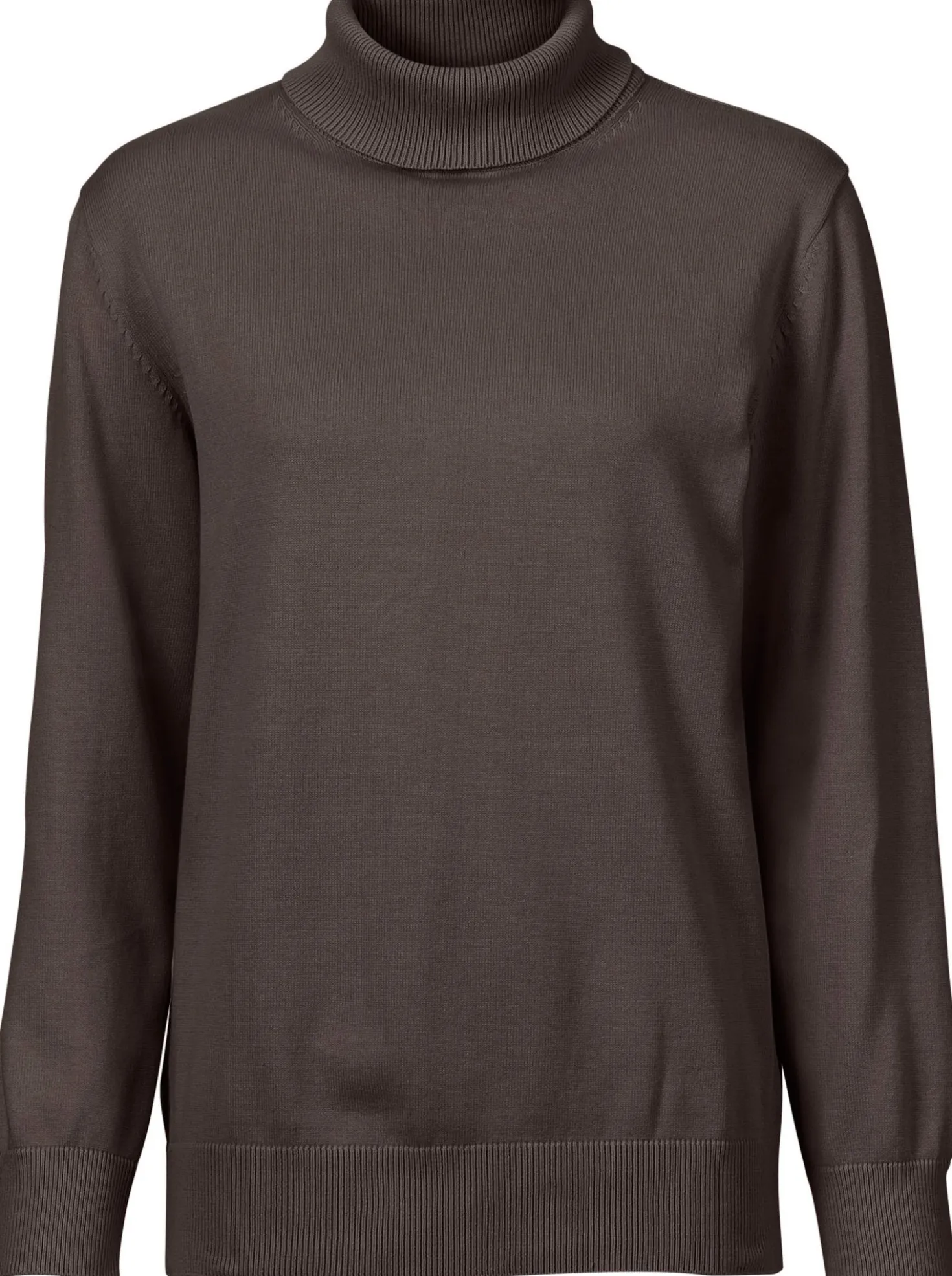 Rollkragenpullover aus reiner Baumwolle
