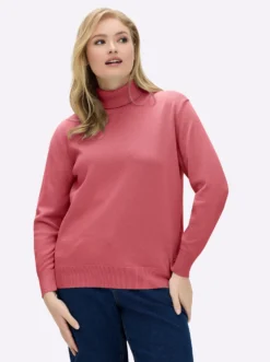 Rollkragenpullover aus reiner Baumwolle