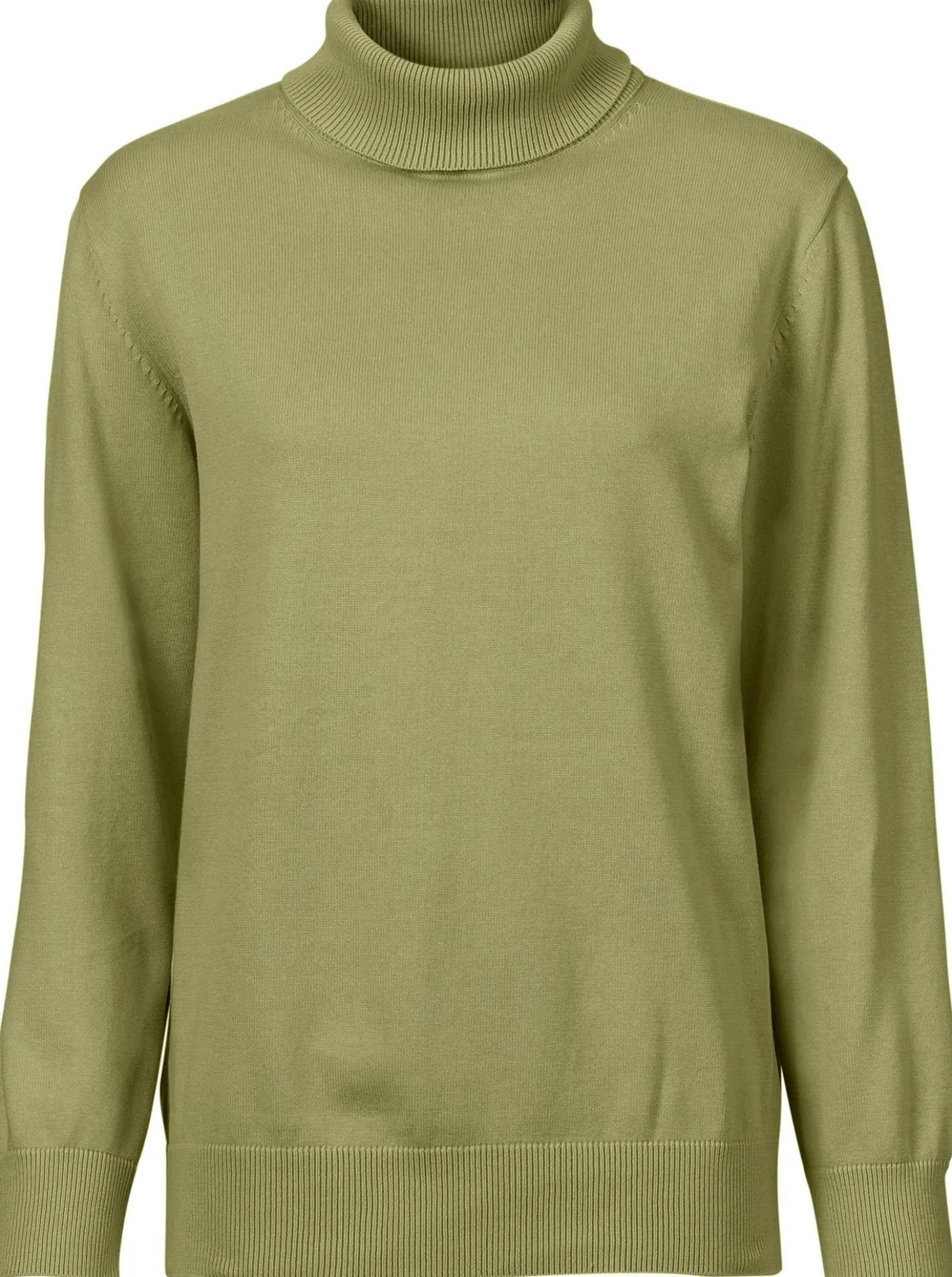 Rollkragenpullover aus reiner Baumwolle