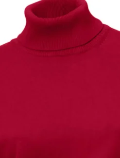 Rollkragenpullover in Feinstrick-Qualität