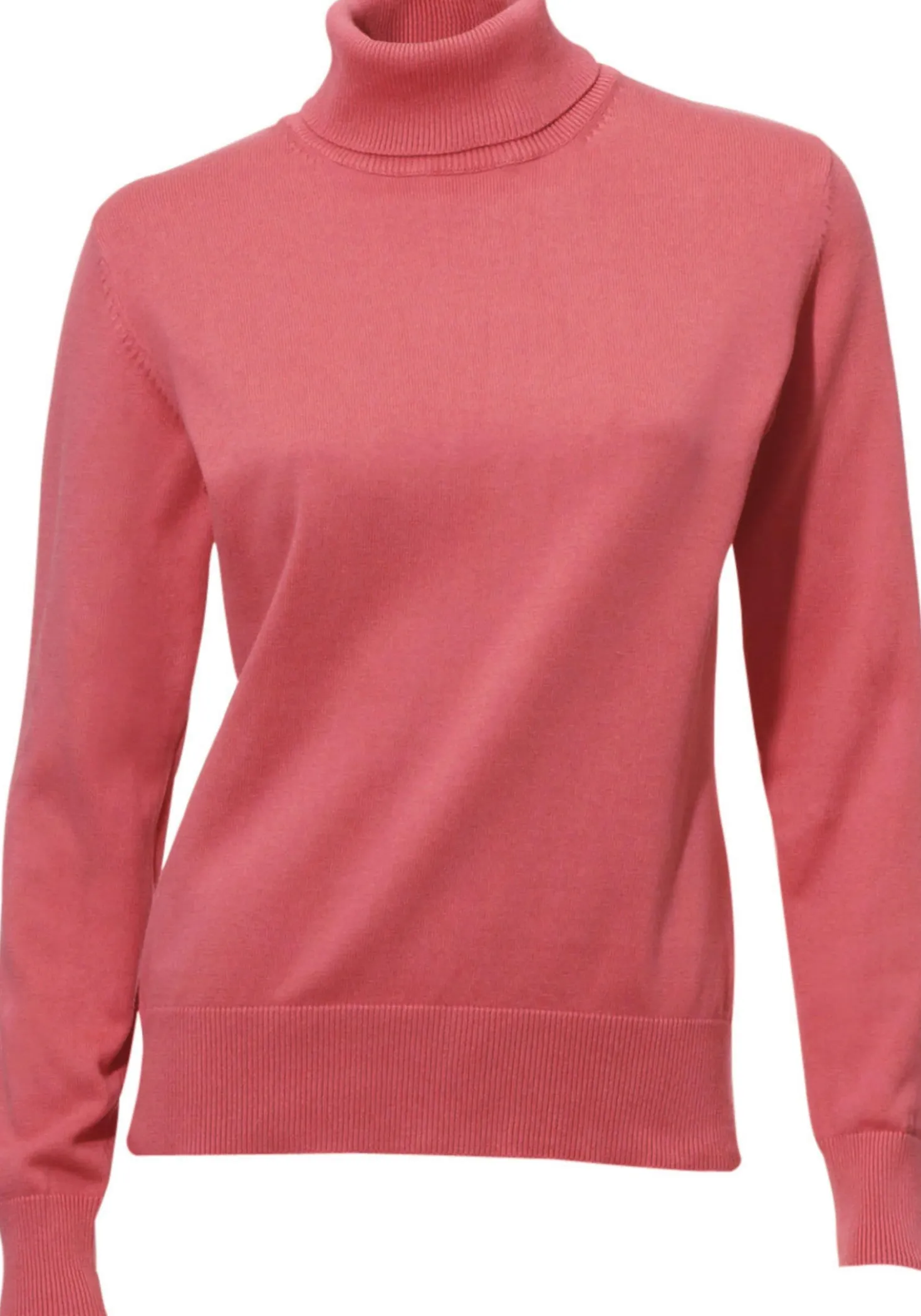 Rollkragenpullover in Feinstrick-Qualität