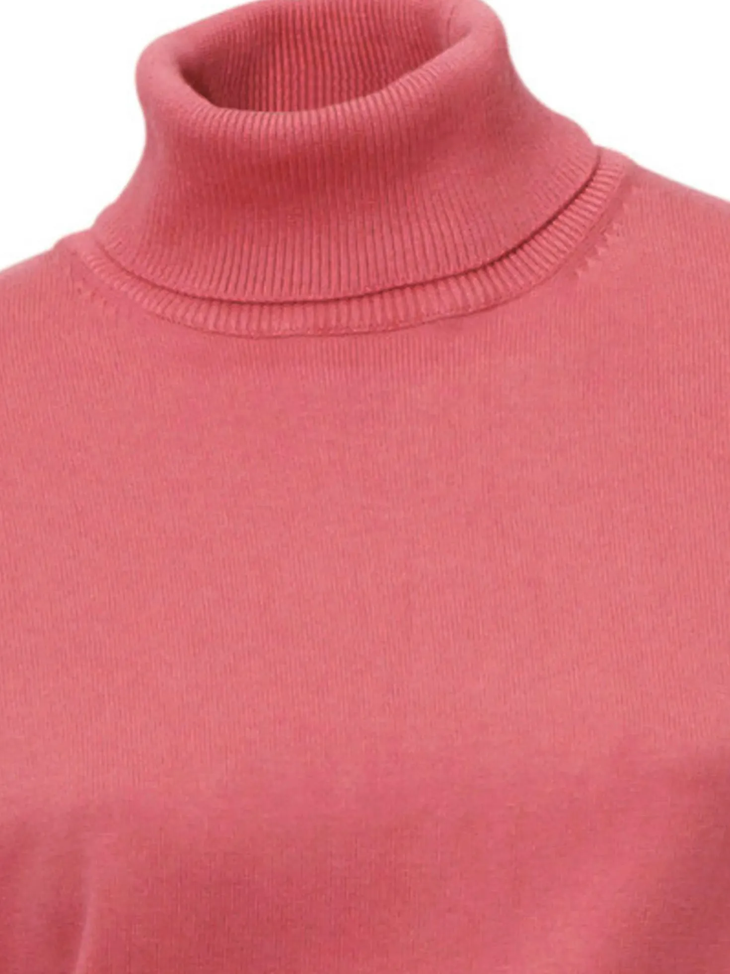 Rollkragenpullover in Feinstrick-Qualität