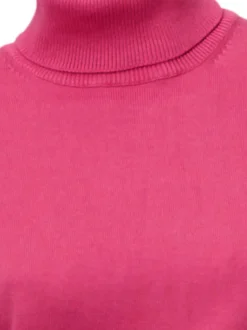 Rollkragenpullover in Feinstrick-Qualität