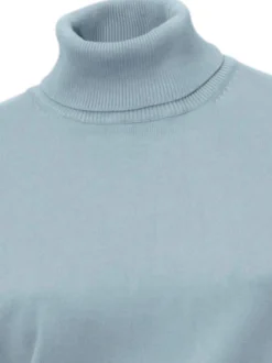 Rollkragenpullover in Feinstrick-Qualität