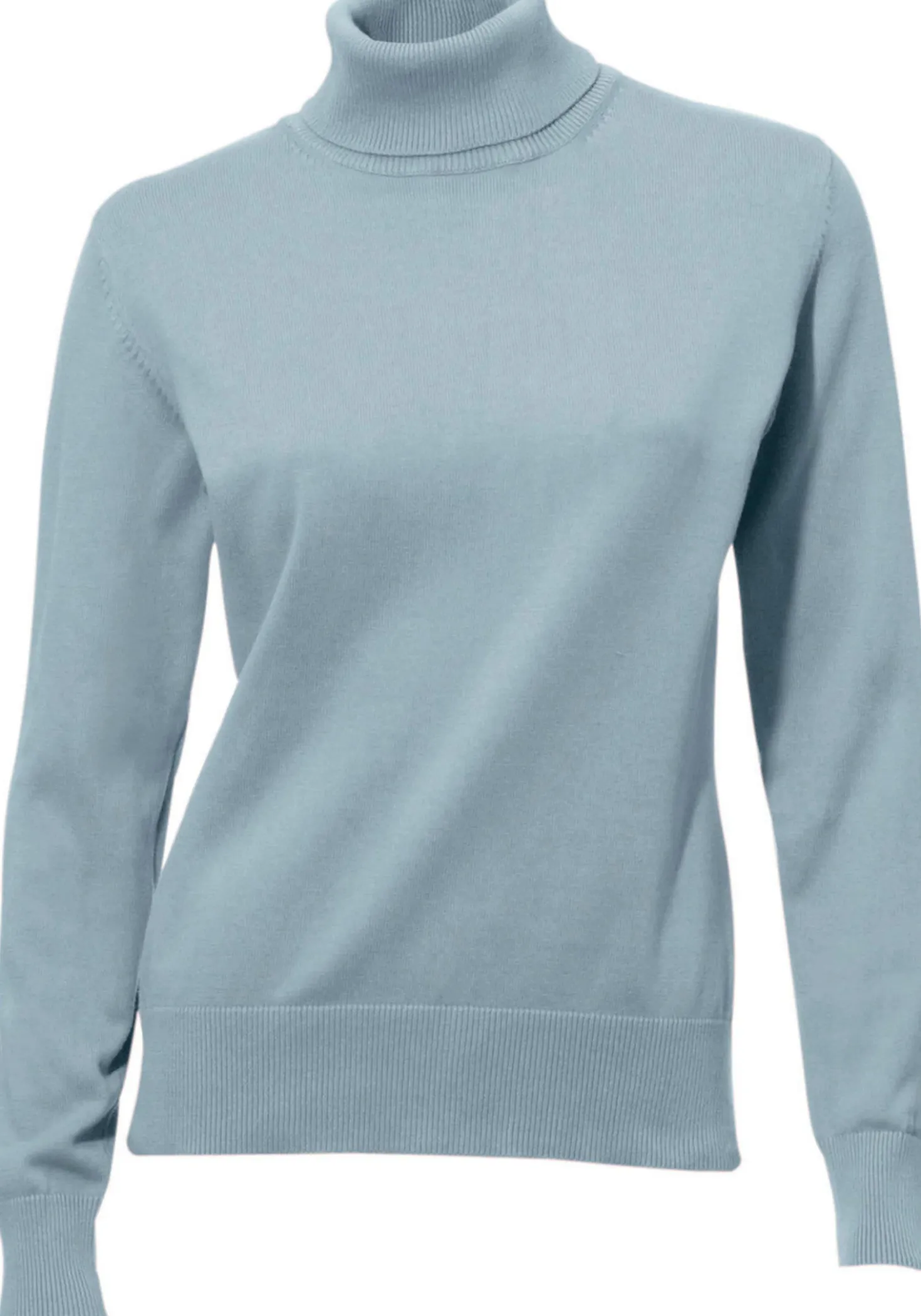 Rollkragenpullover in Feinstrick-Qualität