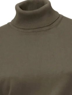 Rollkragenpullover in Feinstrick-Qualität