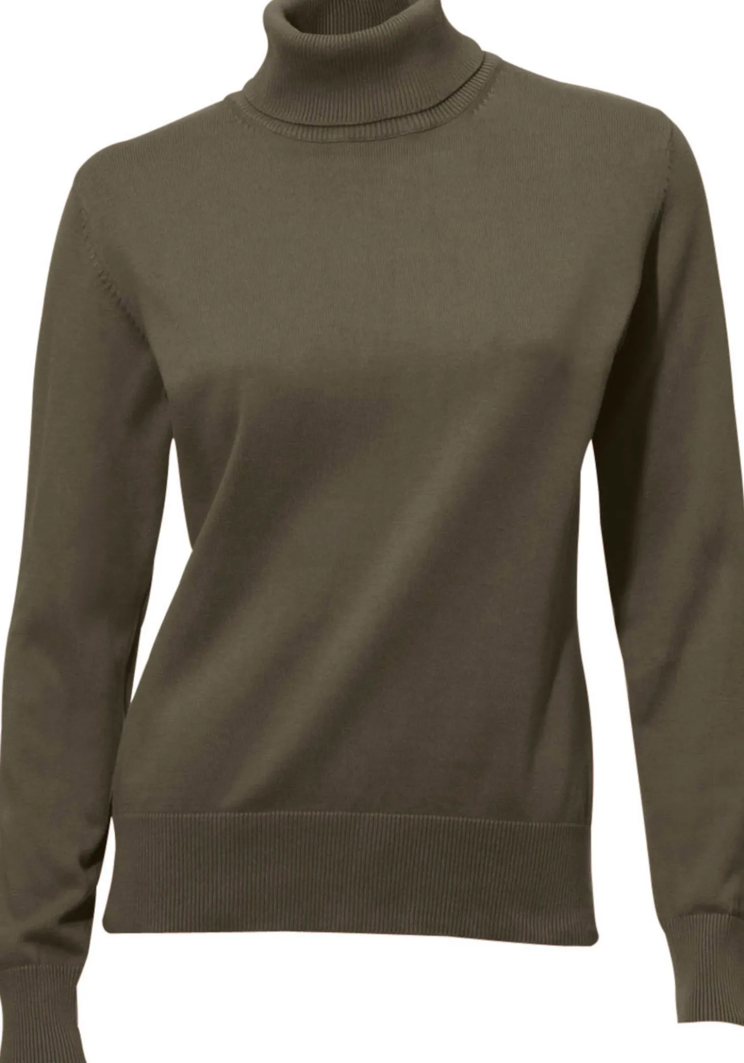 Rollkragenpullover in Feinstrick-Qualität