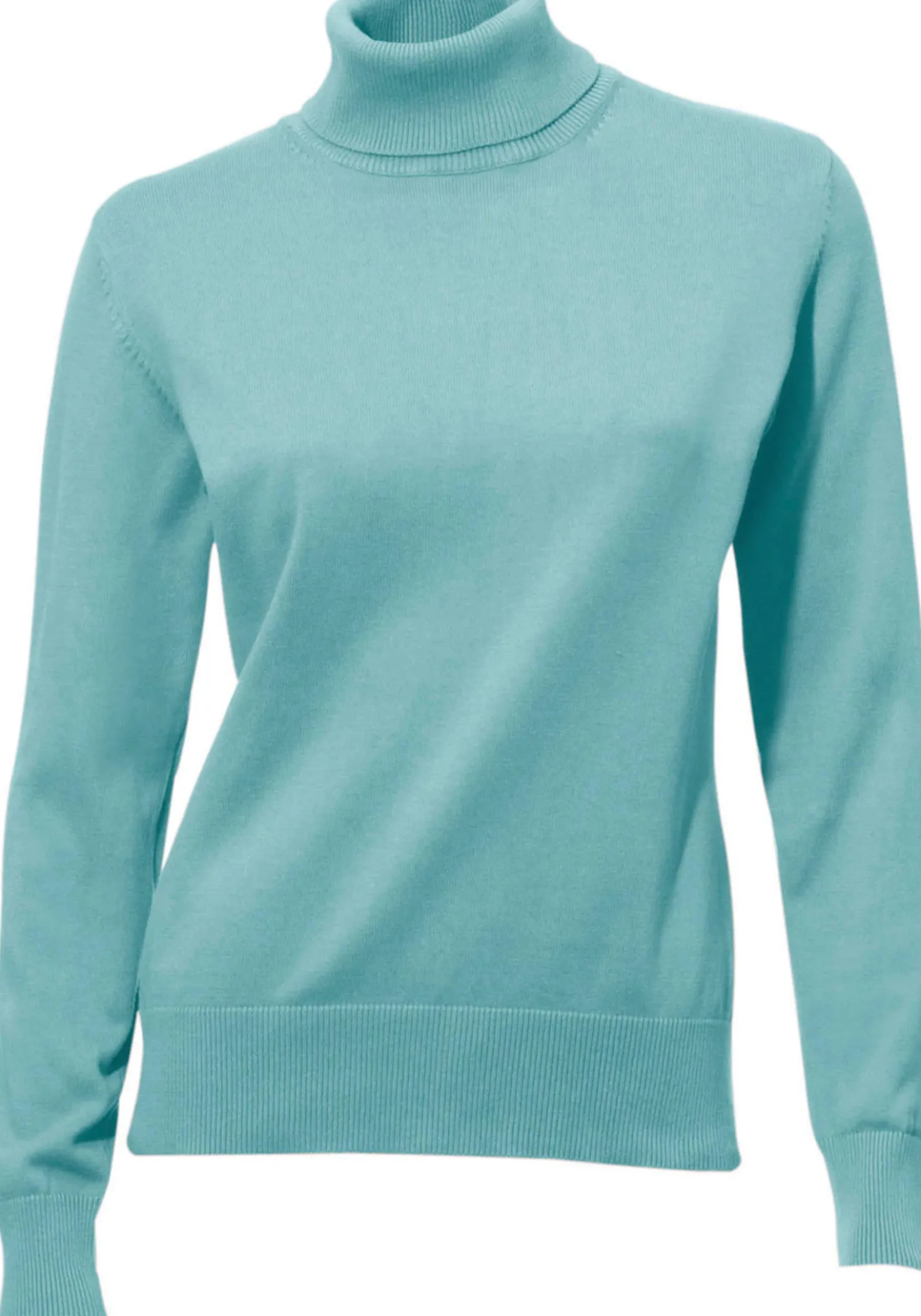 Rollkragenpullover in Feinstrick-Qualität