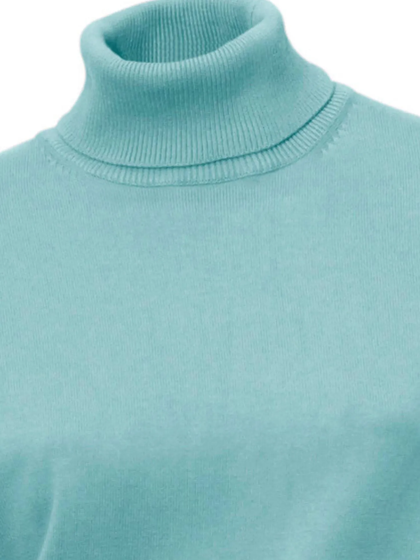 Rollkragenpullover in Feinstrick-Qualität