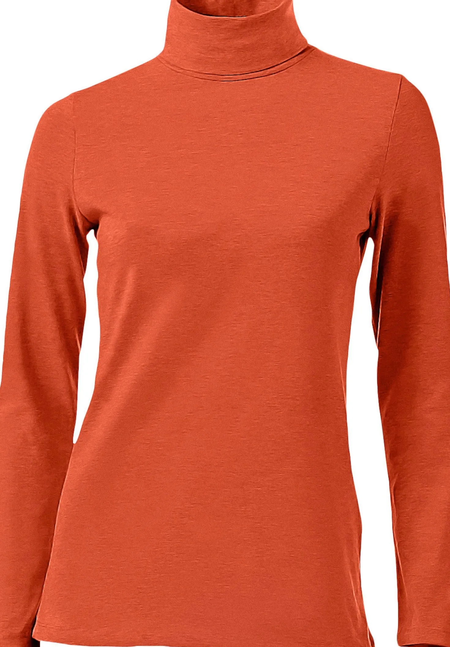 Rollkragenshirt in figurbetonter Form