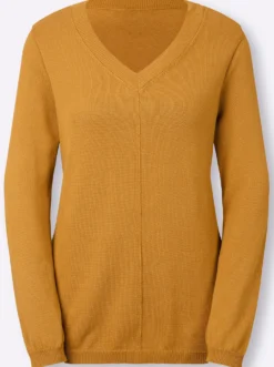 V-Ausschnitt-Pullover mit Biesen vorne